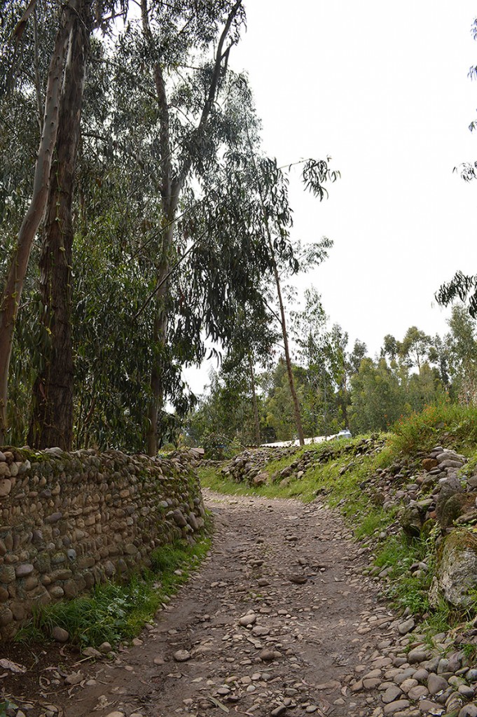 BATANYACU-HUANCAYO