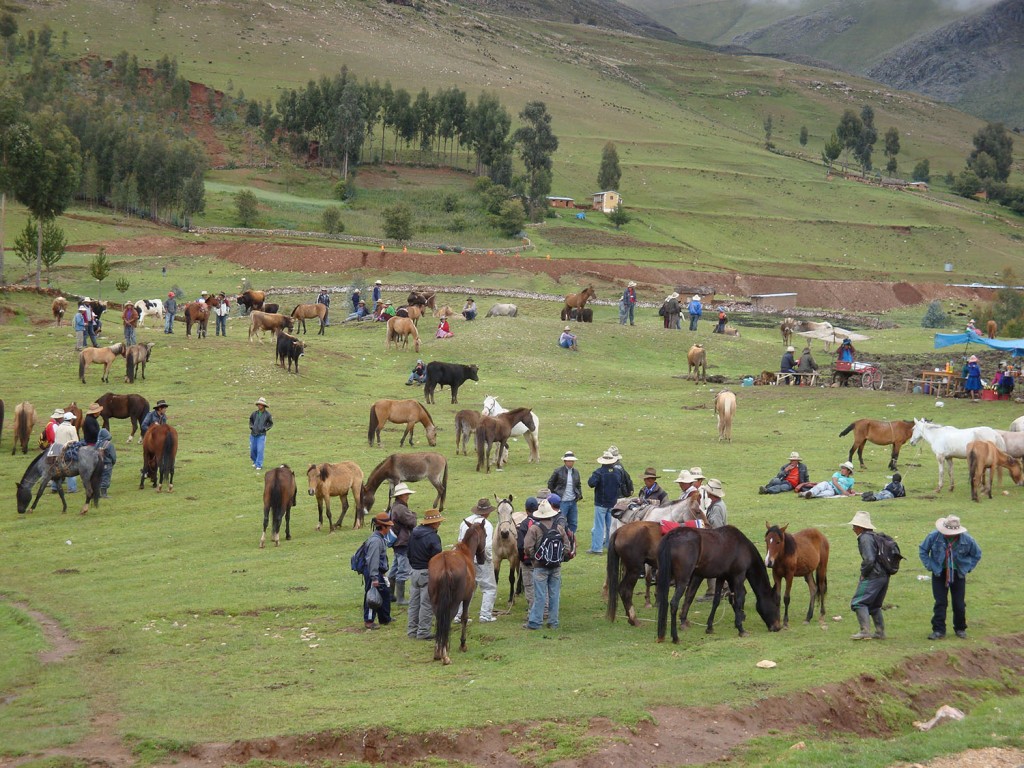 Feria-Ganadera