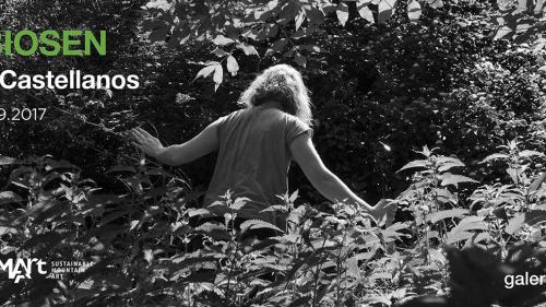 20861942_1659114210780167_6572368101995473569_o