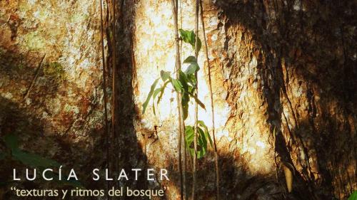 23476115_10155700294245320_134249760_n