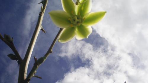 422595_3125109618126_219914877_n