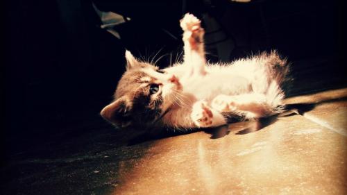 460311_3122492633204_1761880471_o