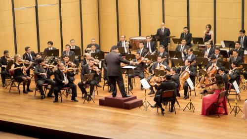 Orquesta Sinfónica