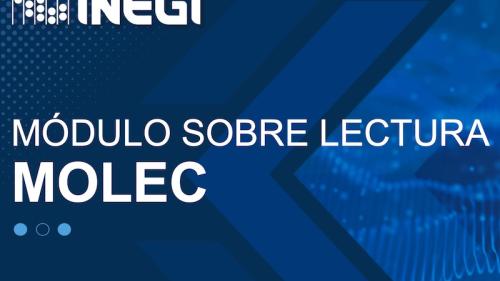 Módulo sobre Lectura (Molec) 2022