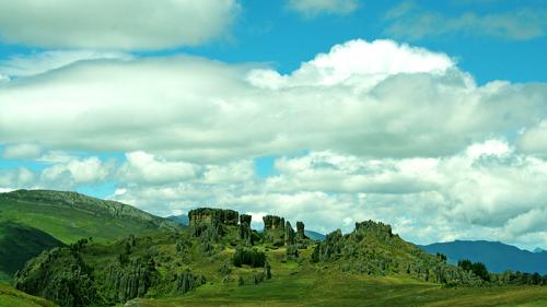 bosque_de_rocas_bajaresolucion