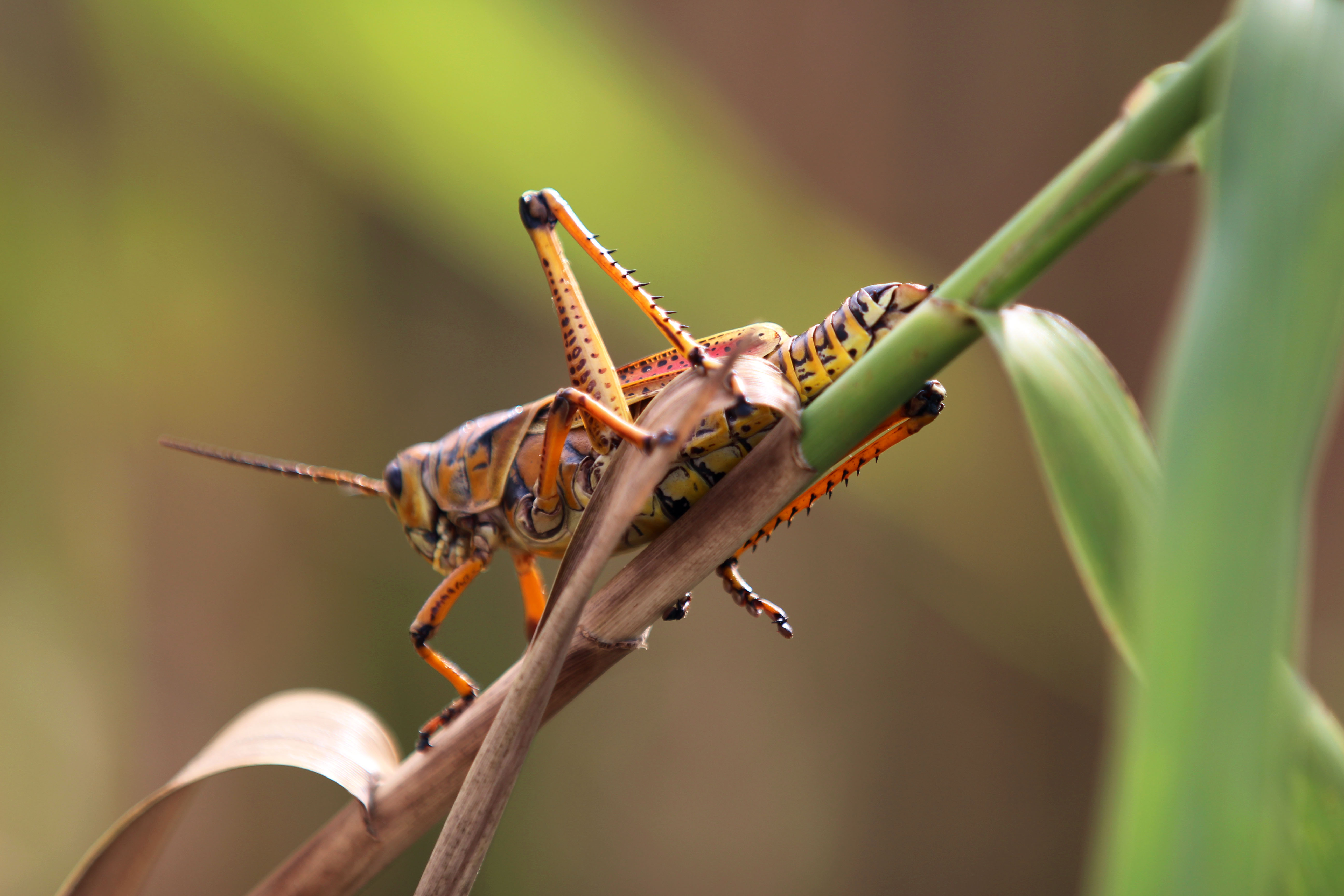 Fotografía_Juan_Osores