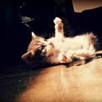 460311_3122492633204_1761880471_o