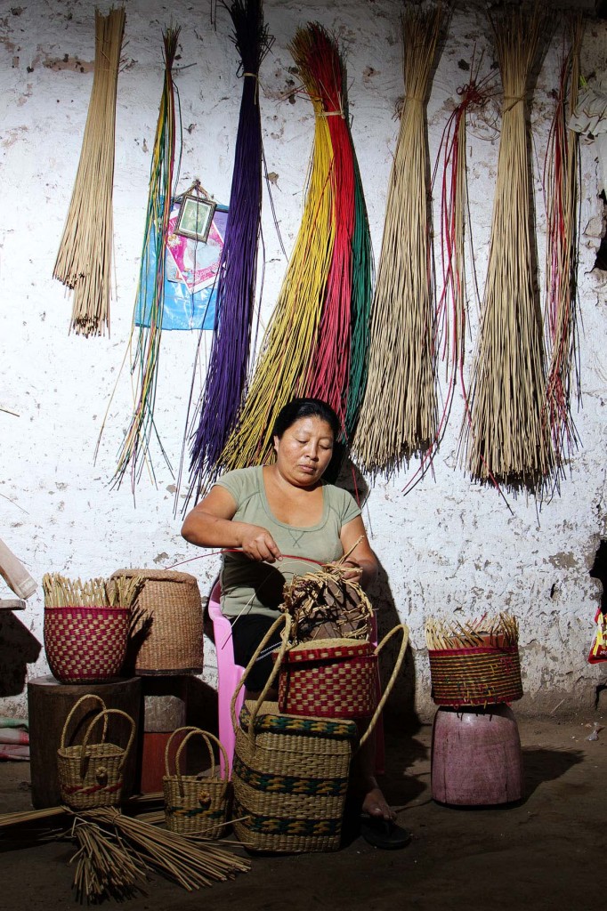 Elsa-Cumpa-Ayasta-41-años-de-edad-1