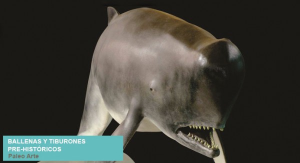 [EXPOSICIÓN] BALLENAS Y TIBURONES PRE-HISTÓRICOS