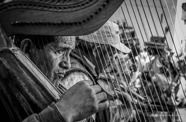 [Fotografía Finalista] Melodías de los andes – Edward Cesar Torres Fernández