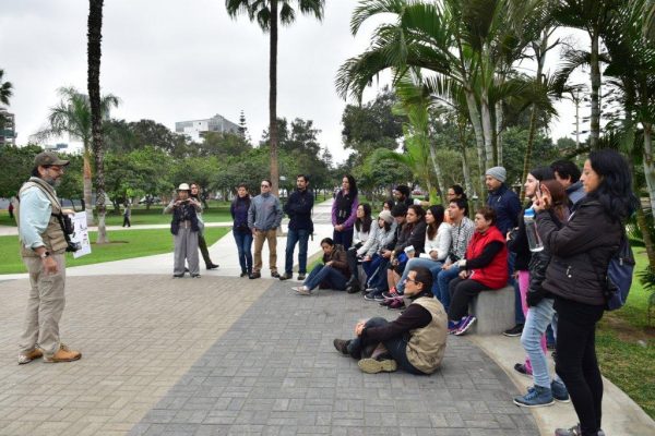 BIRDING (Avistamiento de aves) para toda la familia. ¡Ingreso Libre!