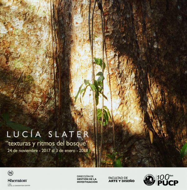 “Texturas y ritmos del bosque” exposición fotográfica de Lucía Slater Villar